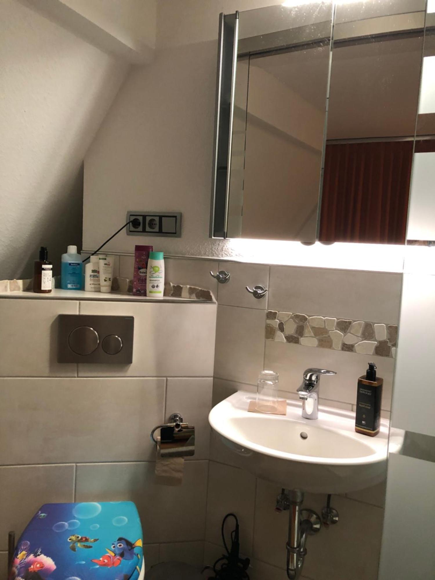Aussichtszimmer Mit Modernem Glasbad Und Balkon Koblenz  Exterior foto